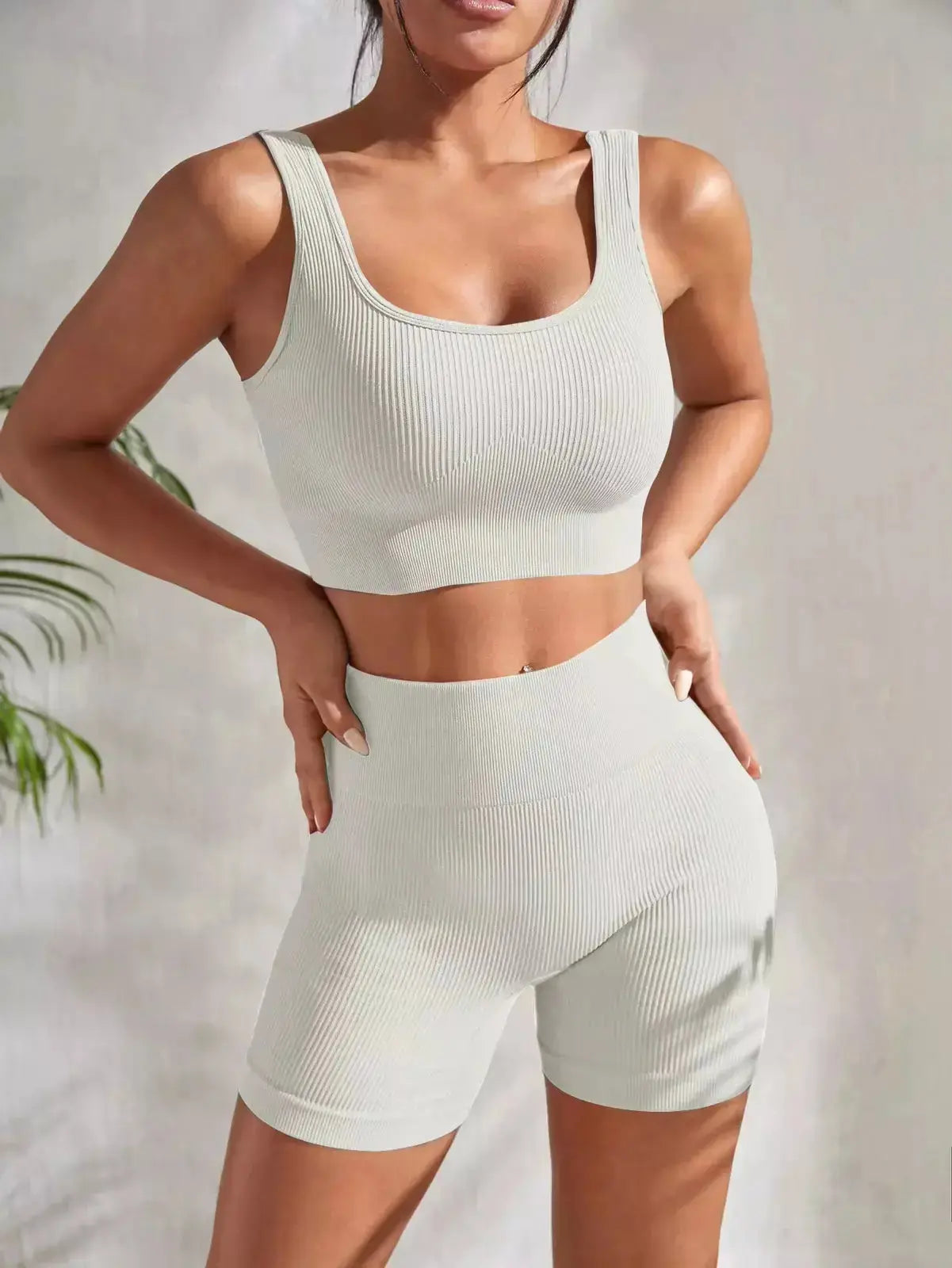 Seamless Yoga Set Women – Flairé™ High Waist Workout Set